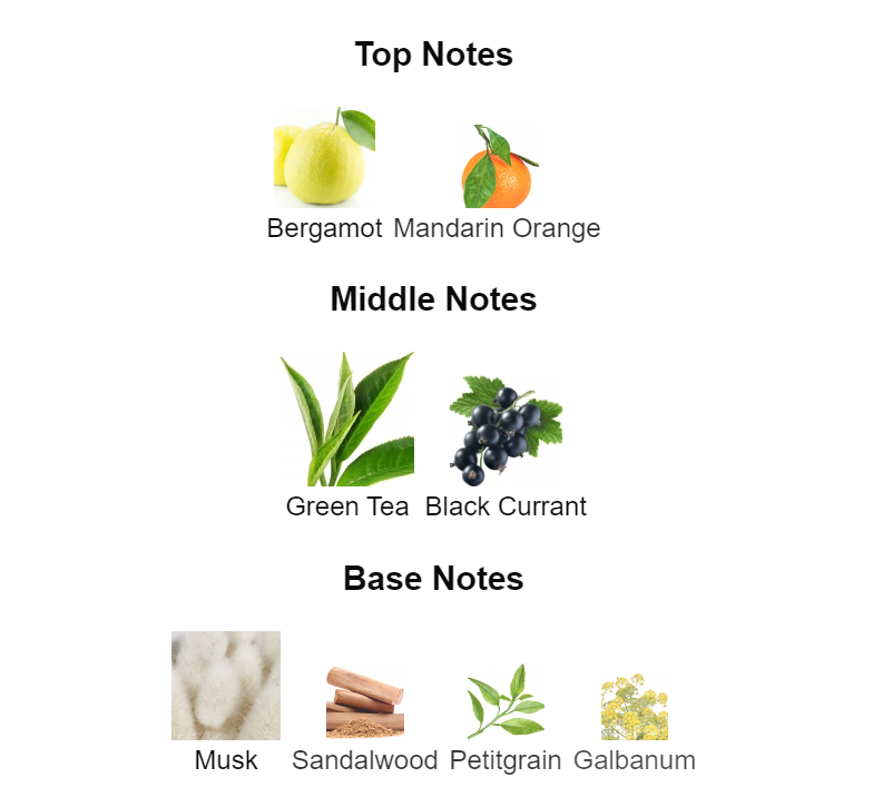 -1 DEGREE - (Inspired by Creed Silver Mountain)🔥🧊