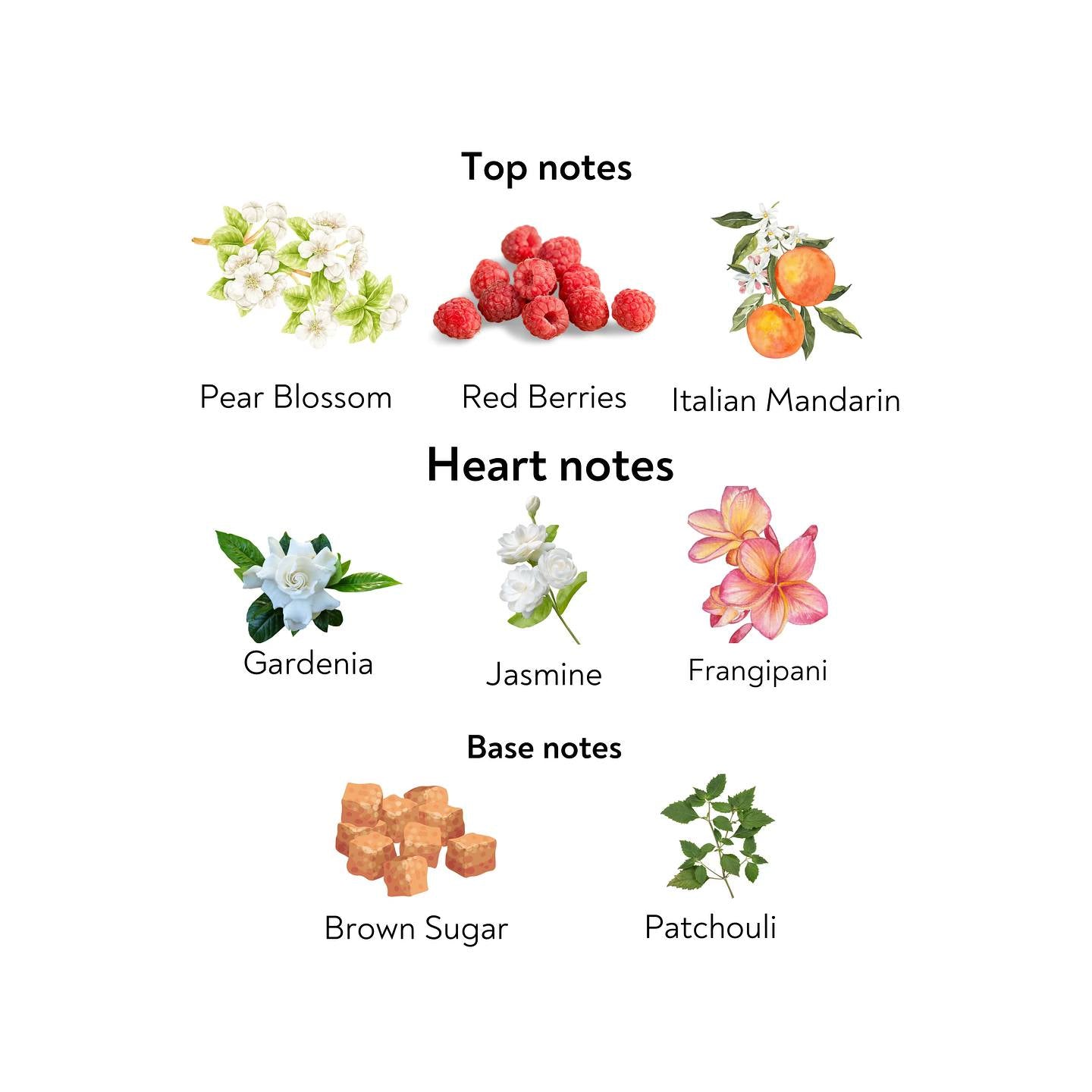 QUEEN OF HEARTS - Inspired by GC flora🎀✨